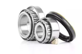 BSG 60-600-001 BSG Комплект подшипника ступицы колеса